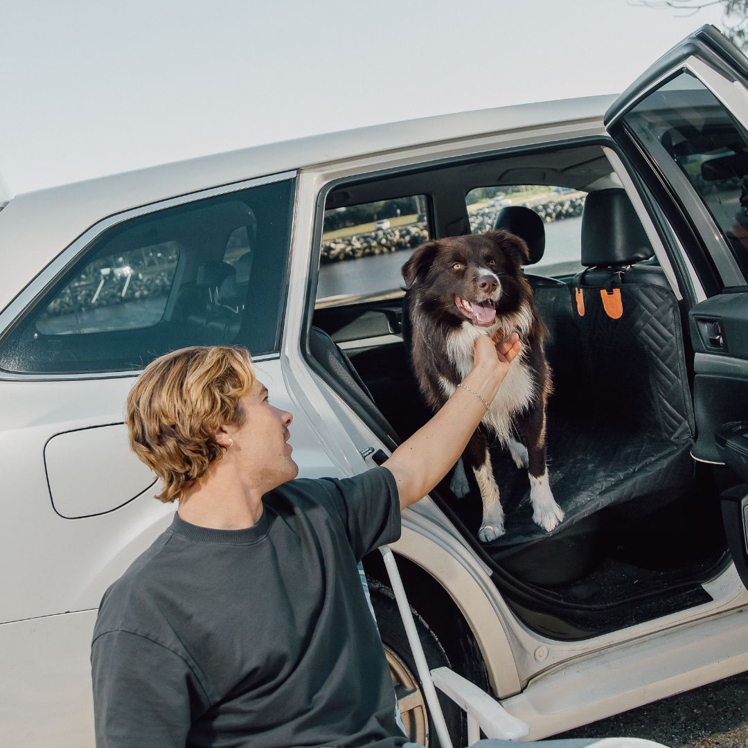The PawShield™ – Clean Rides, Calm Dogs