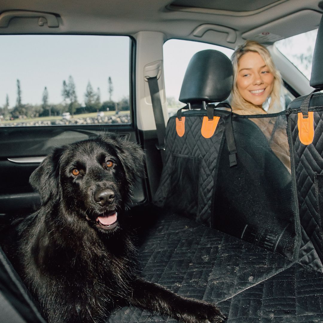 The PawShield™ – Clean Rides, Calm Dogs