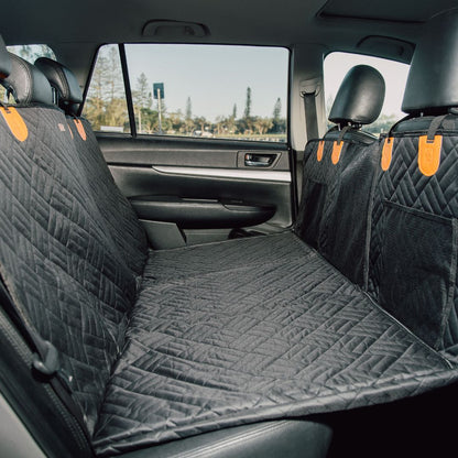 The PawShield™ – Clean Rides, Calm Dogs