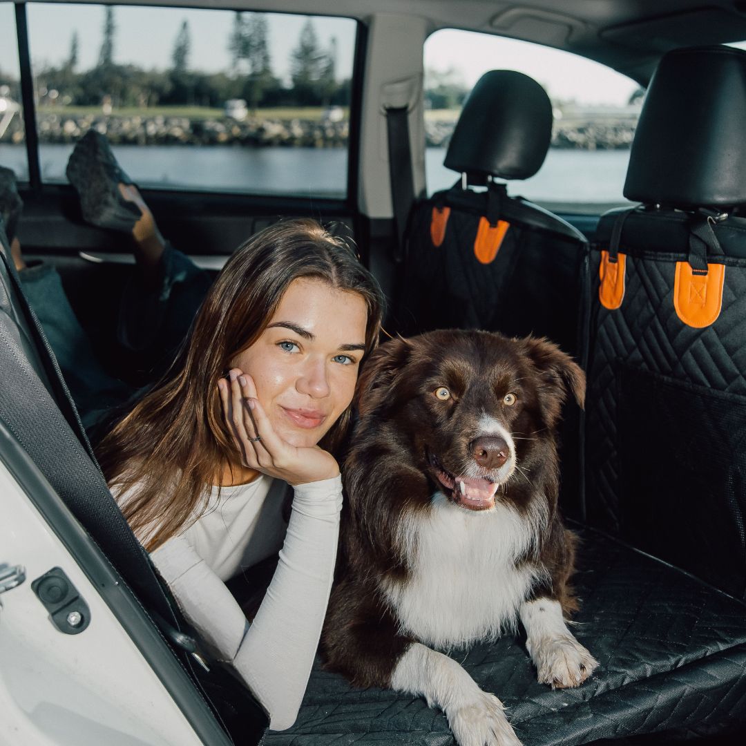 The PawShield™ – Clean Rides, Calm Dogs